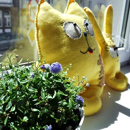 Happy House * Poznań