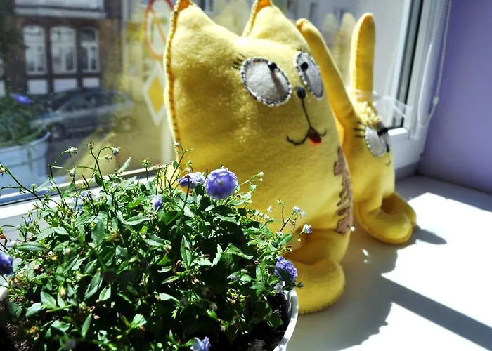 Happy House * פוזנן