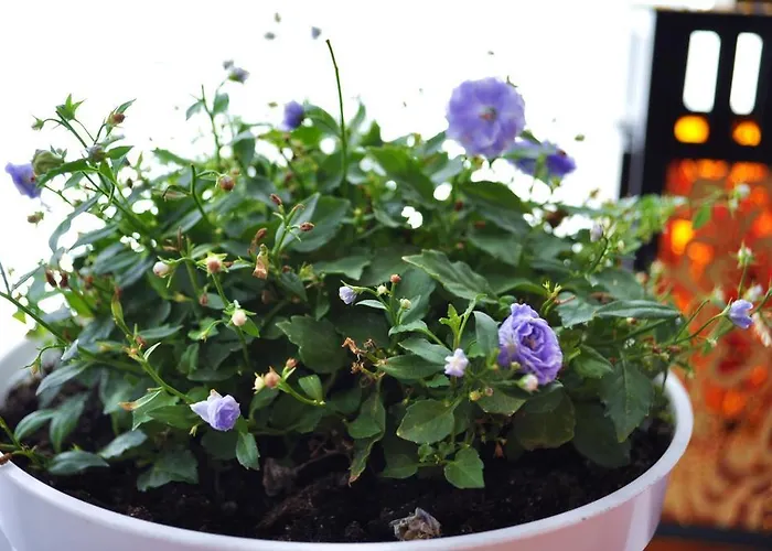 Happy House Хостел Познань